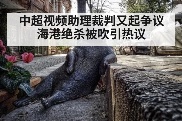 中超视频助理裁判又起争议 海港绝杀被吹引热议